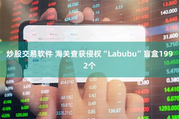 炒股交易软件 海关查获侵权“Labubu”盲盒1992个